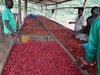 Africa - Burundi Gahahe