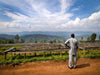 Africa - Rwanda Nyamasheke